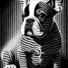 Digitaler Download Französische Bulldogge „Frenchie“ Schwarz & Weiß, Deko Design, Deko Art