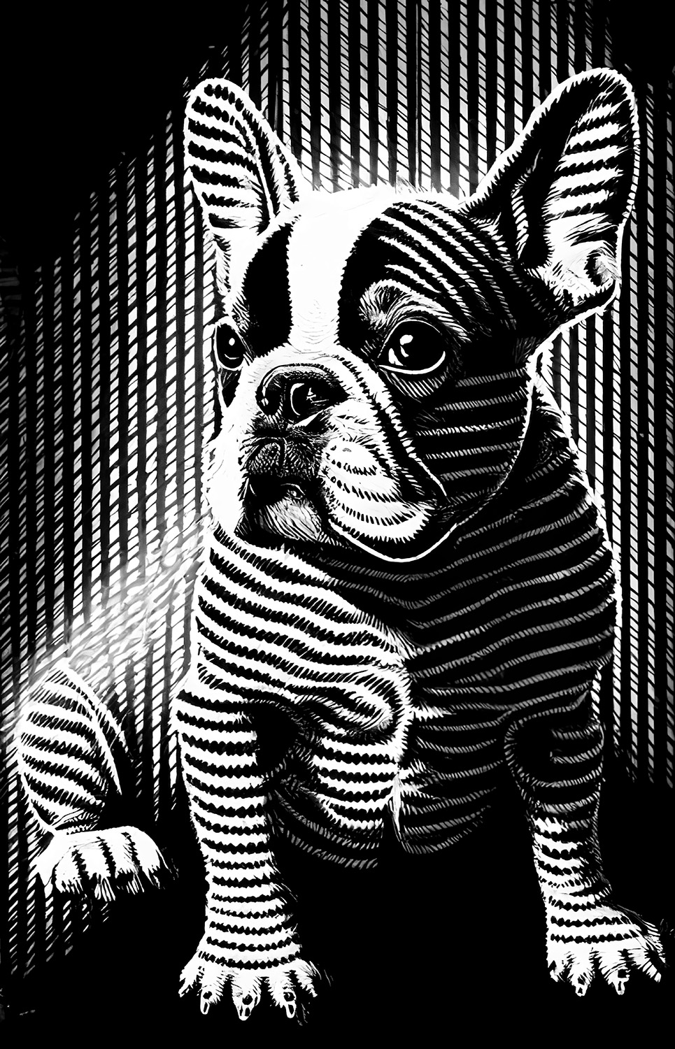 Digitaler Download Französische Bulldogge „Frenchie“ Schwarz & Weiß, Deko Design, Deko Art