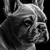 Digitaler Download Französische Bulldogge „Frenchie“ Schwarz & Weiß, Deko Design, Deko Art