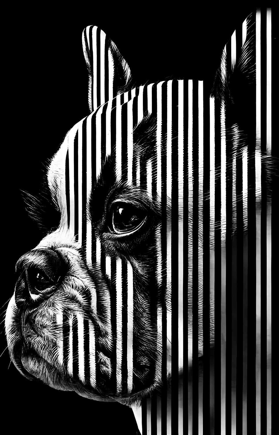 Digitaler Download Französische Bulldogge „Frenchie“ Schwarz & Weiß, Deko Design, Deko Art