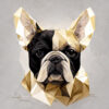 Digitaler Download Französische Bulldogge „Frenchie“ Gold-Schwarz-Weiss Poly Design, Deko Design, Deko Art