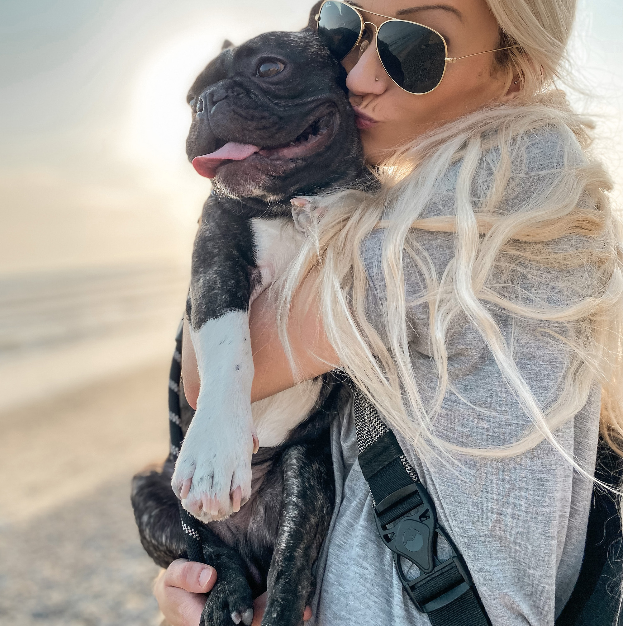 French bulldog at beach. Care Guide.